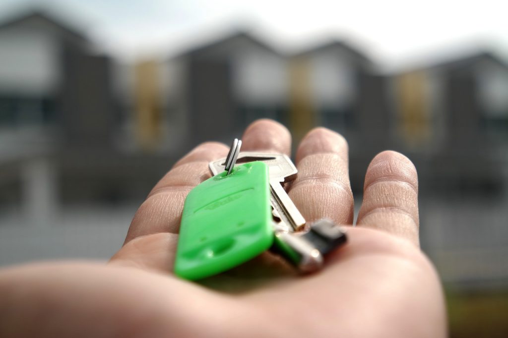 a hand holding a green and white object