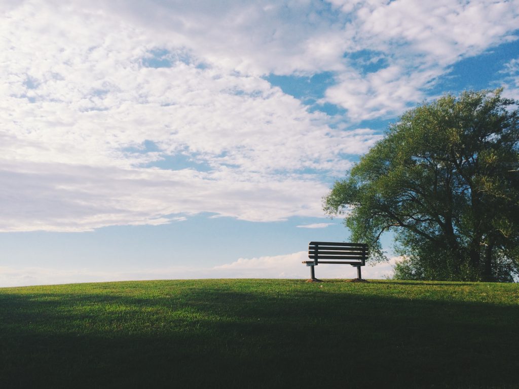 a bench in a park