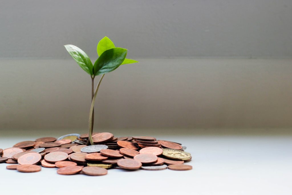 a pile of coins with a plant growing out of it