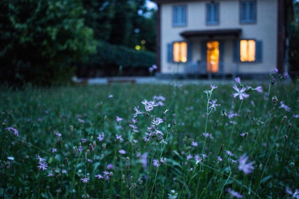 a house with a field of flowers