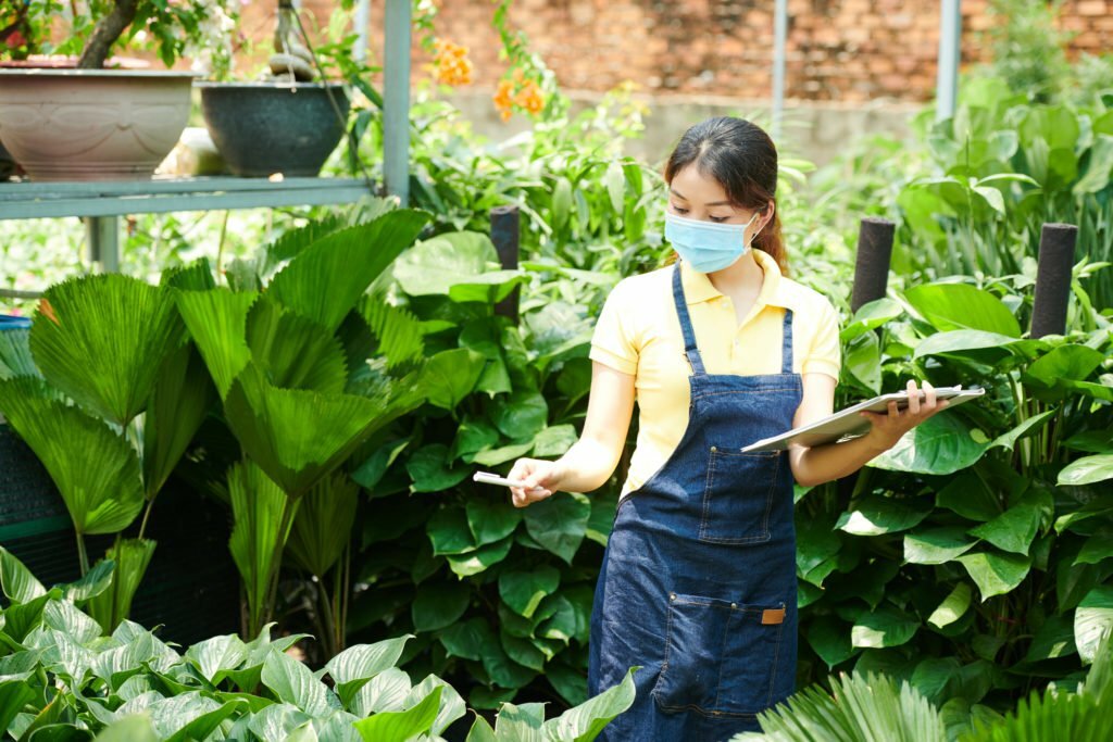 a person in a garden